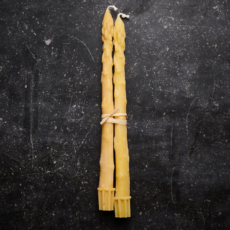 Beeswax Asparagus Taper Candle