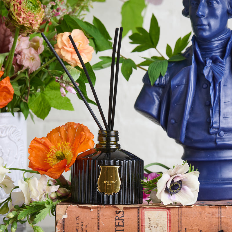 Cire Trudon Diffuser, France-Odalisque