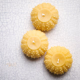 Beeswax Urchin Candle