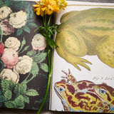 John Derrian Gift Paper and Tags