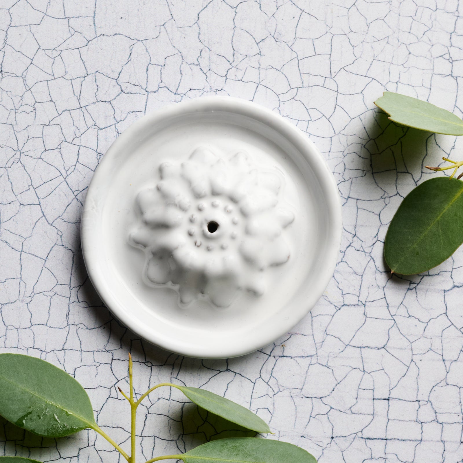 56C8CE40-E9B0-4DFF-9092-