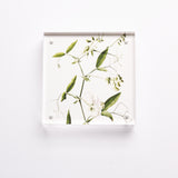 Winky Lewis Flora Photograph Blocks