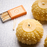 Beeswax Urchin Candle