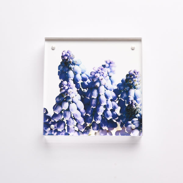 Winky Lewis Flora Photograph Blocks