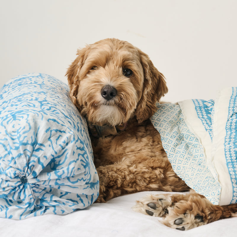 Kerry Cassill Block Printed Quilt