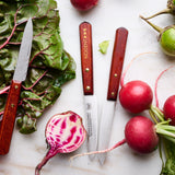 Nogent Paring Knife-France