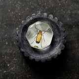 John Derian Handblown Mini "Charm"- NY, NY
