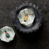 John Derian Handblown Mini "Charm"- NY, NY