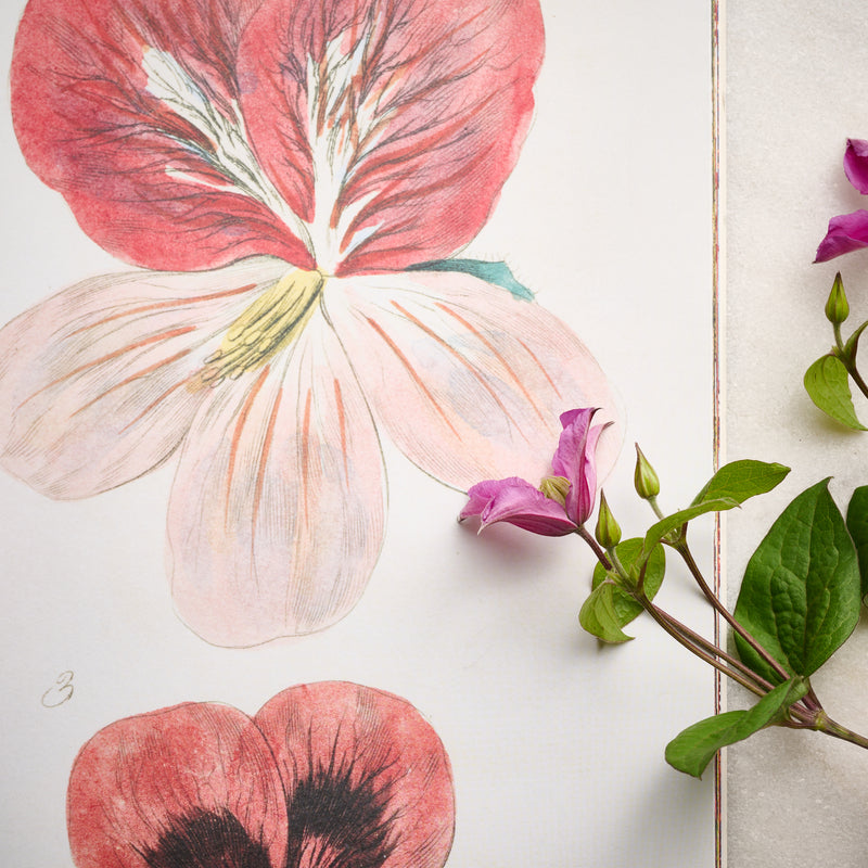 John Derrian Gift Paper and Tags