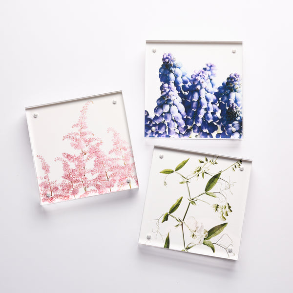 Winky Lewis Flora Photograph Blocks