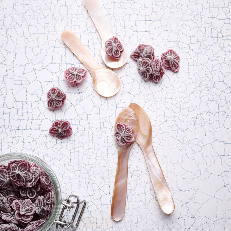 Shell Spoon- Set of 2