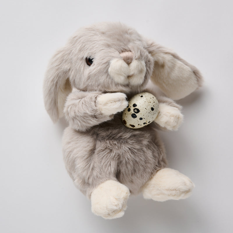 soft small gray or white mini bunny