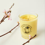 french honey rose candle