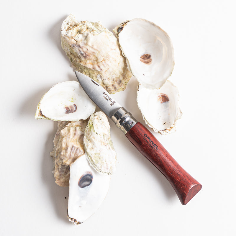 French Oyster knife shucker Opinel