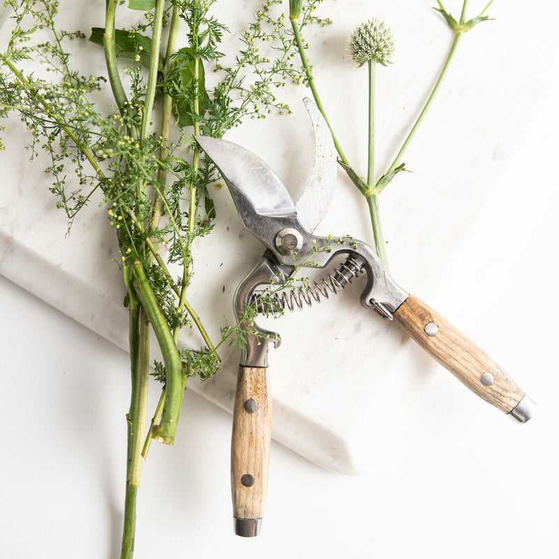 German Shears – Blanche + Mimi