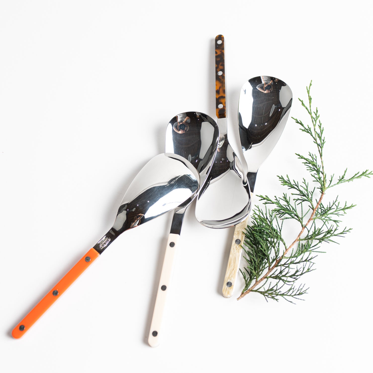 French Bistro Server - Tortoise