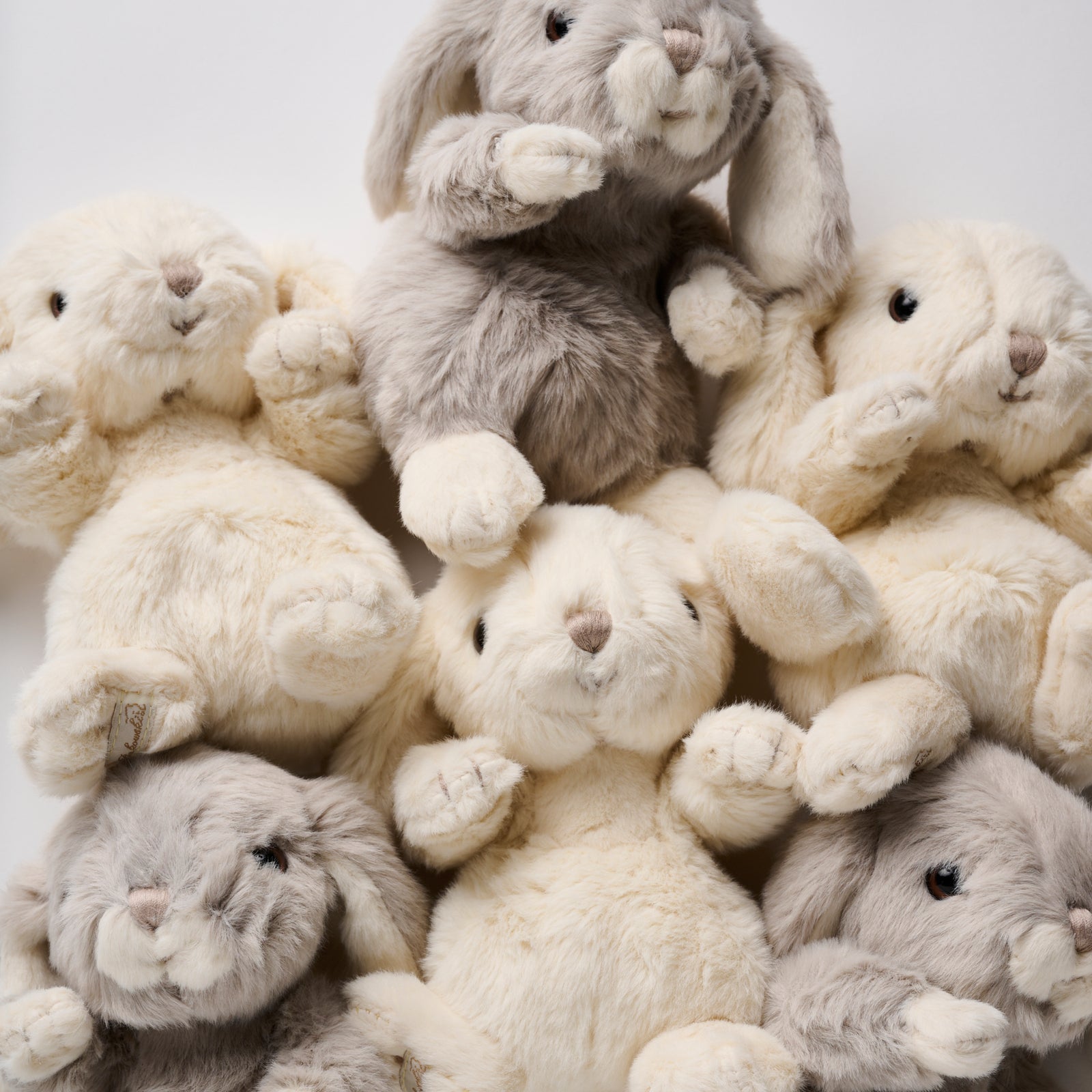 Mini Bunny – Blanche + Mimi